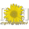 Cpfawiki.png