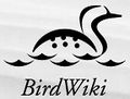 BirdWikiLogo.jpg