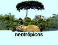 Wiki neotropicos logo.png