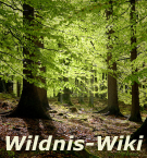 WildnisWikia.png