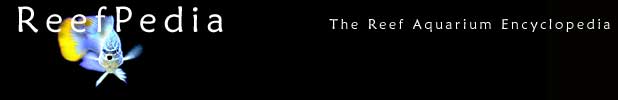 ReefPediaWikiLogo.jpg