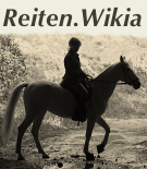ReitenWikia.png