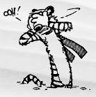 VoWi - VorlesungsWiki.jpg