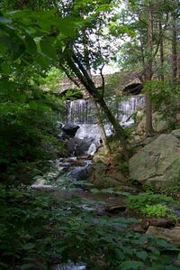 Connecticut Outdoor Recreational Wiki logo