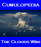 Cumulopedia.PNG