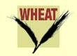 Logo-WheatFarm Wiki.png