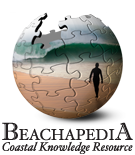 Beachapedia wiki logo