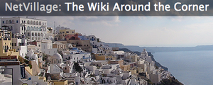 NetVillageBanner.png